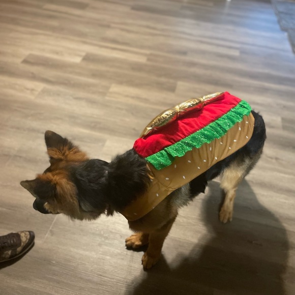 Meet your Posher, Rue - Picture 1 of 1